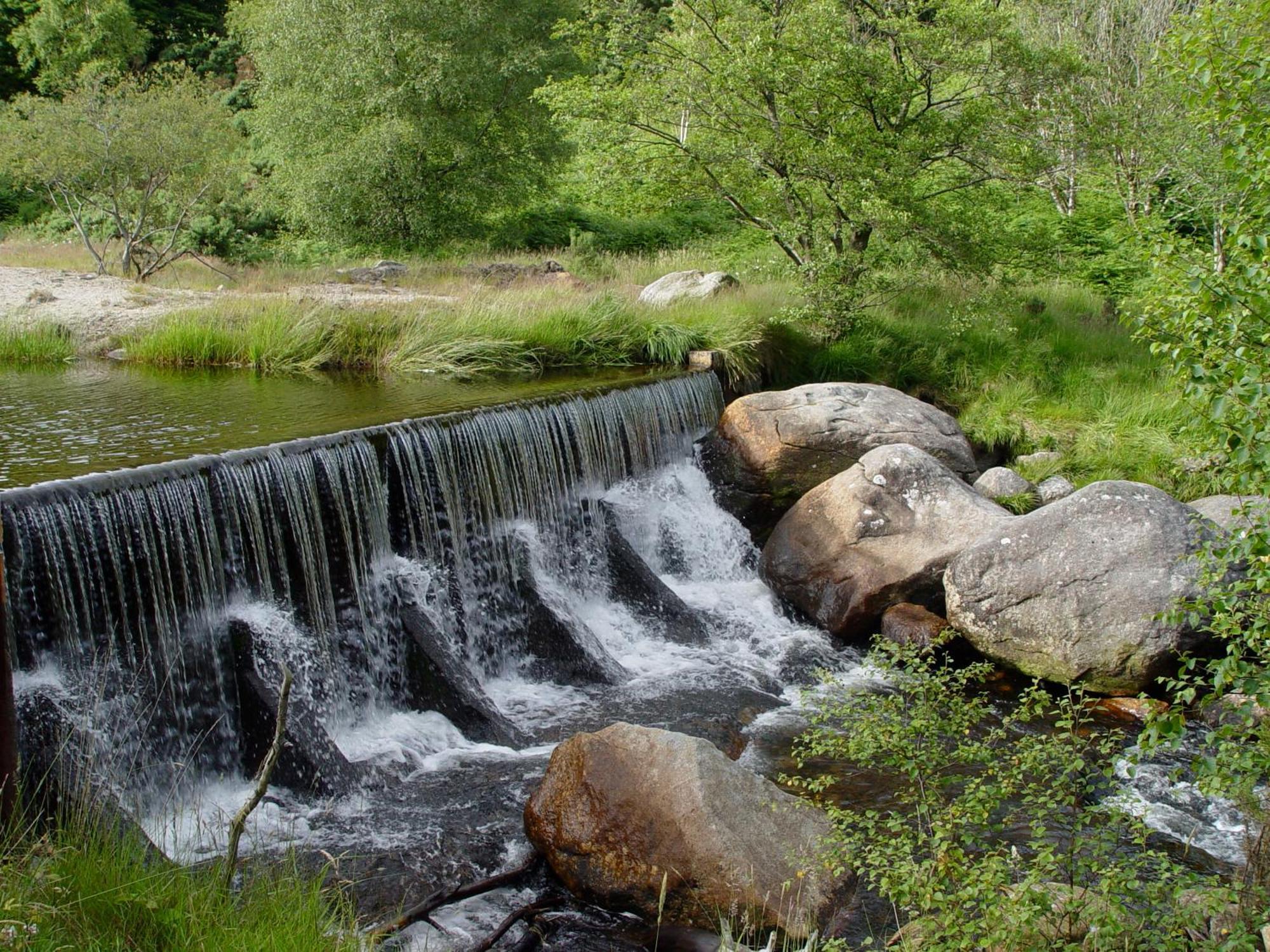 Glendalough International Youth Hostel ララー エクステリア 写真 The river at the foot of the village