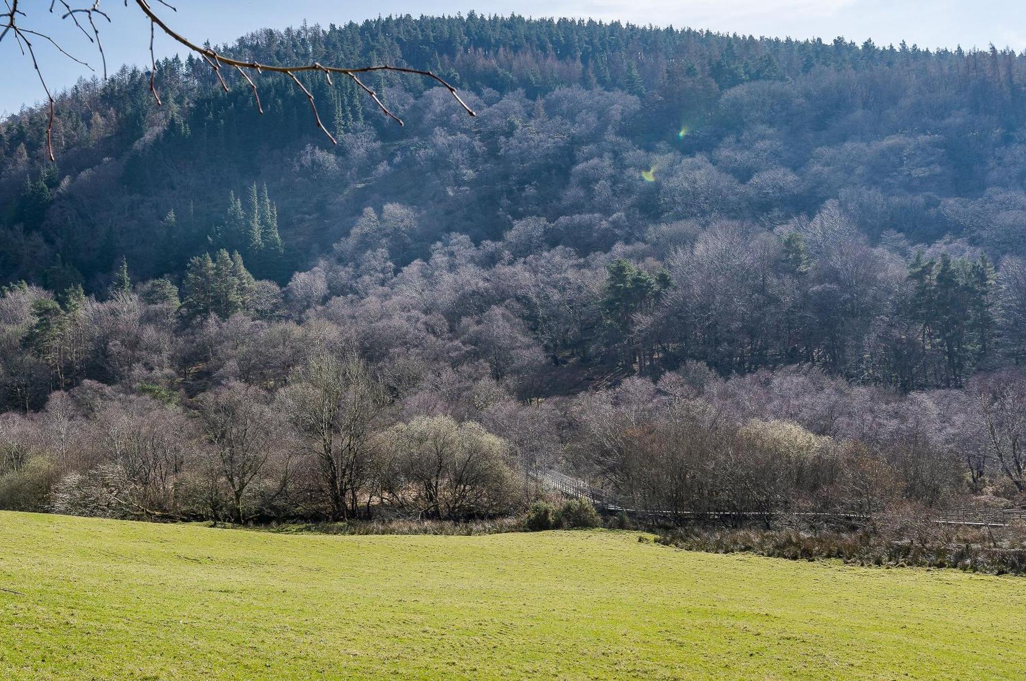 Glendalough International Youth Hostel ララー エクステリア 写真