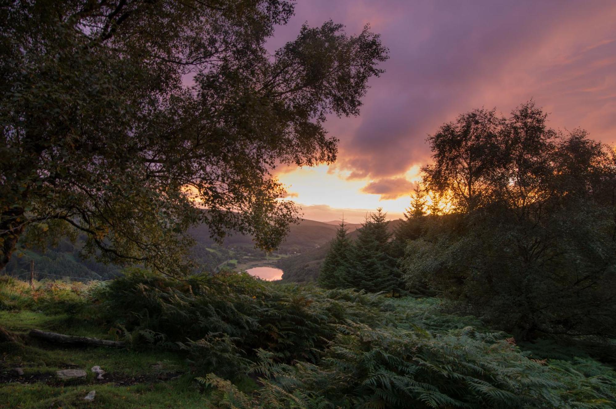 Glendalough International Youth Hostel ララー エクステリア 写真